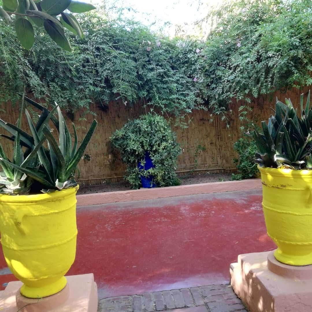 img_20191109_182619_249